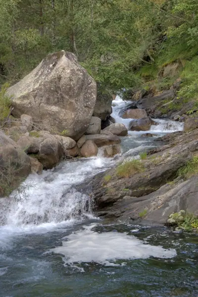 Parc Nacional (paisatges) (Aigüestortes) · 00614