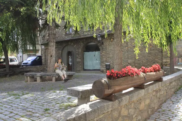 Poble i església de Sant Pere (Alp) · 03017