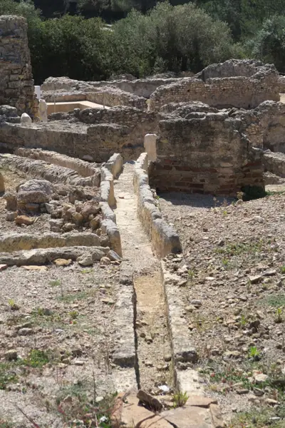 Vil·la romana dels Munts (Altafulla) · 05440