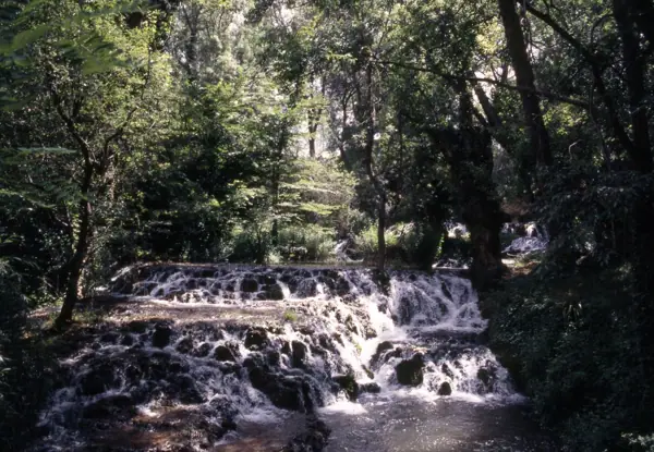Monestir de Piedra (1999) · 00713