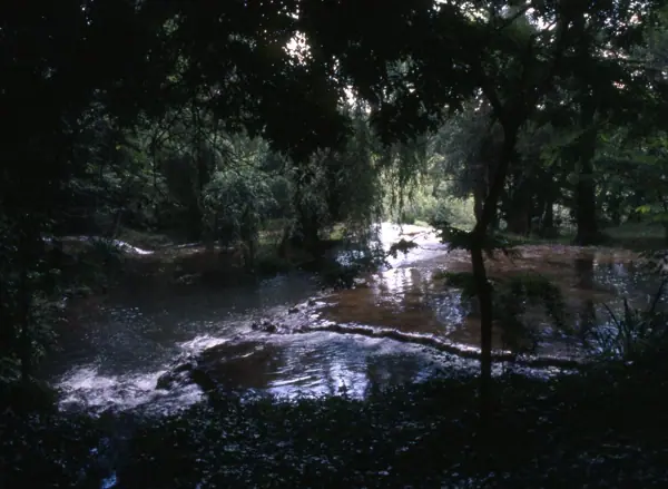 Monestir de Piedra (1999) · 00714