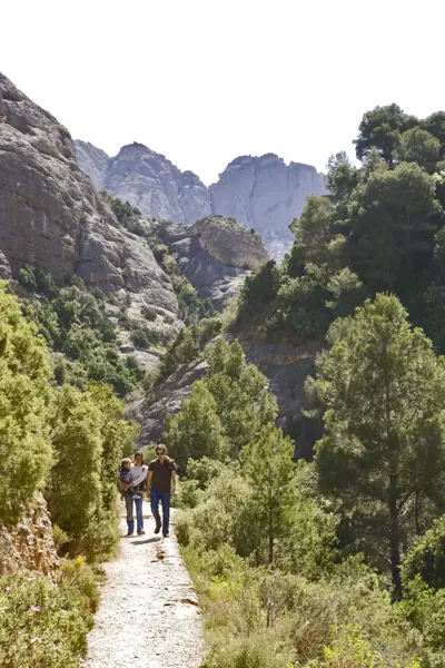 Roques d'en Benet, Horta de Sant Joan (Arnes) · 01926