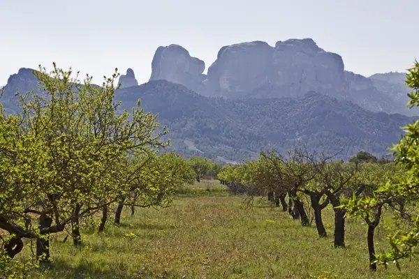 Roques d'en Benet, Horta de Sant Joan (Arnes) · 01930