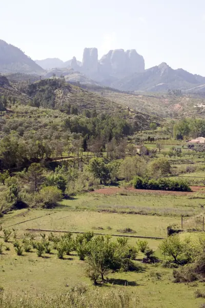 Roques d'en Benet, Horta de Sant Joan (Arnes) · 01947