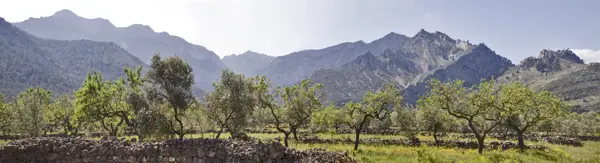Roques d'en Benet, Horta de Sant Joan (Arnes) · 01948