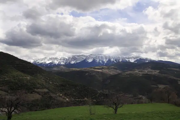 Serra del Cadí (Arsèguel) · 02835