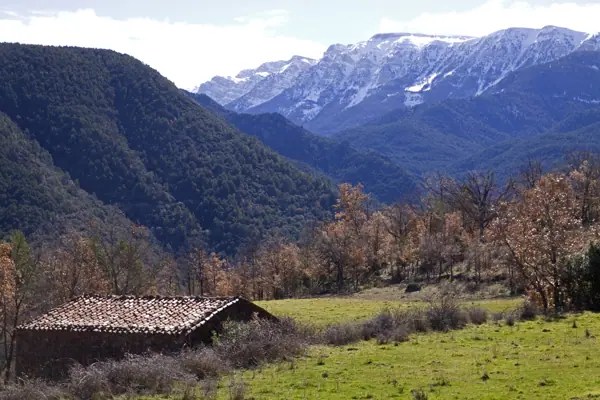 Serra del Cadí (Arsèguel) · 02837