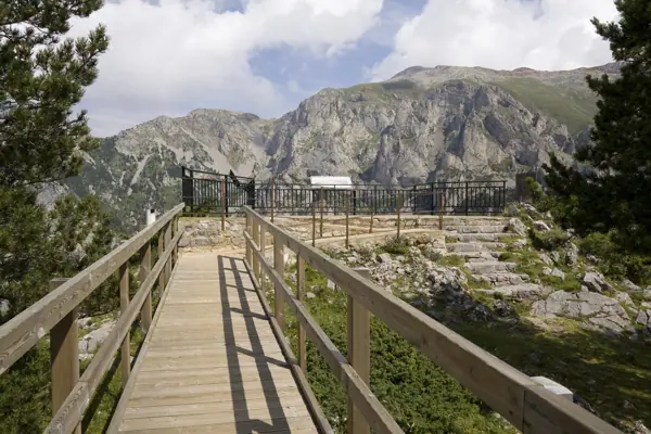 Orris, Moixeró i santuari de Paller (Bagà) · 03275