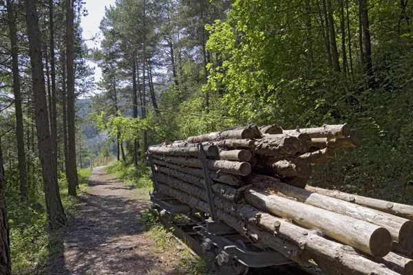 Poble, vistes i camí de Sant Nicolau (Bagà) · 02551