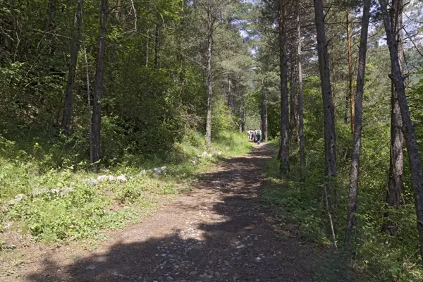 Poble, vistes i camí de Sant Nicolau (Bagà) · 02552