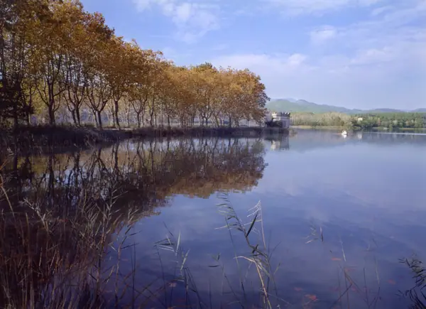 Estany de Banyoles (Banyoles) · 00110