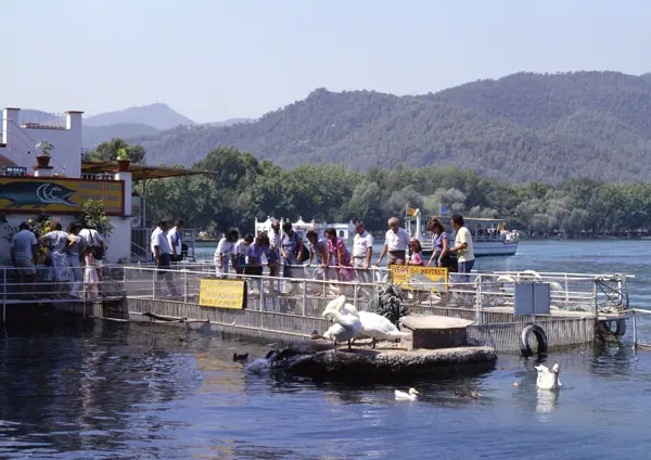 Estany de Banyoles (Banyoles) · 01097