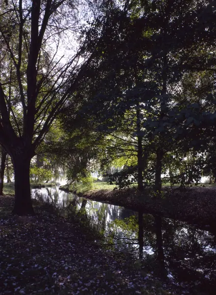 Estany de Banyoles (Banyoles) · 01100