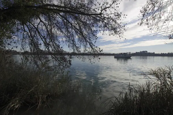 Estany de Banyoles (Banyoles) · 03492