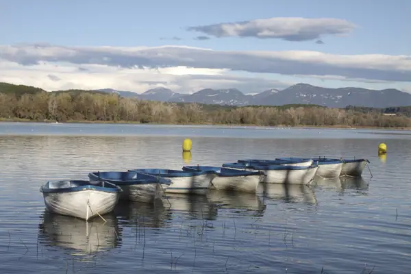 Estany de Banyoles (Banyoles) · 03496