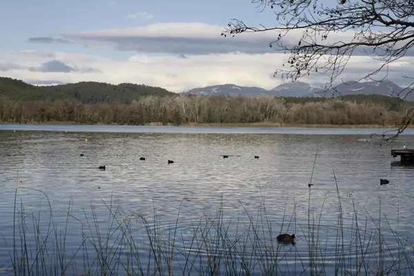 Estany de Banyoles (Banyoles) · 03499