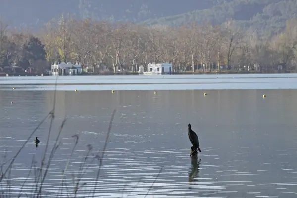 Estany de Banyoles (Banyoles) · 03500