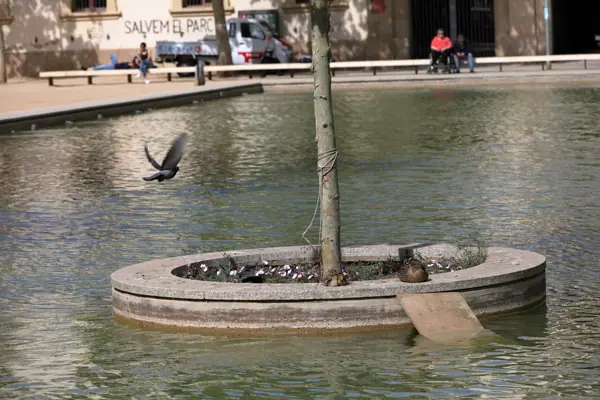 Parc del Baix Guinardó (Barcelona) · 06445