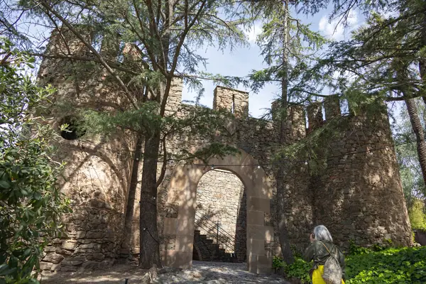 Torre Bellesguard (Gaudí) (Barcelona) · 08385