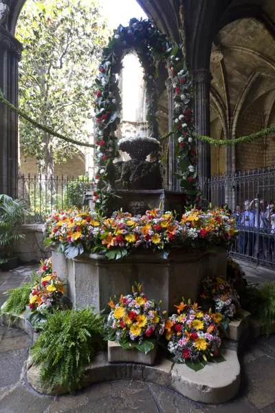 Catedral de la Santa Creu i Santa Eulàlia (Barcelona) · 02570