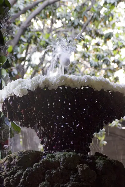 Catedral de la Santa Creu i Santa Eulàlia (Barcelona) · 02572