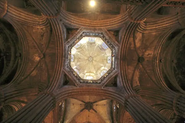 Catedral de la Santa Creu i Santa Eulàlia (Barcelona) · 02766