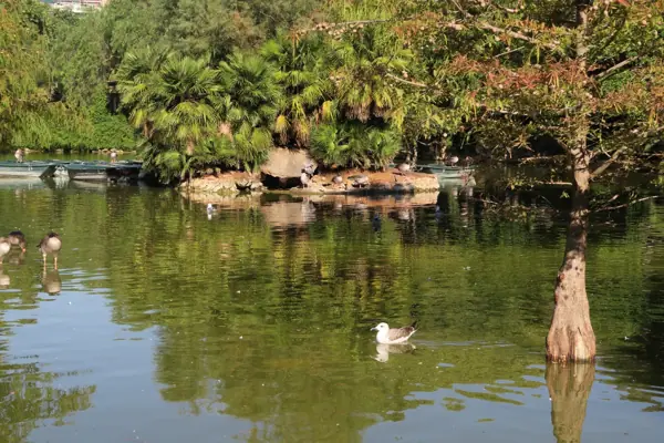 Parc de la Ciutadella (Barcelona) · 05125