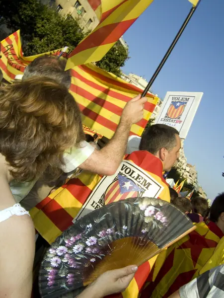 Manifestació per la independència de Catalunya (Barcelona) · 01201