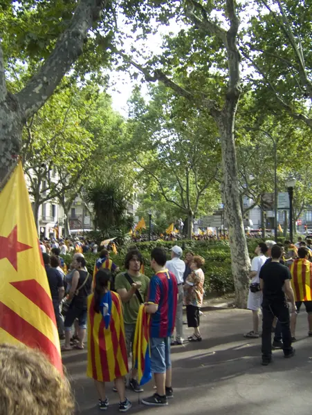 Manifestació per la independència de Catalunya (Barcelona) · 05738