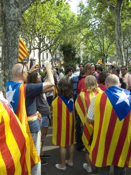 Manifestació per la independència de Catalunya (Barcelona) · 05739