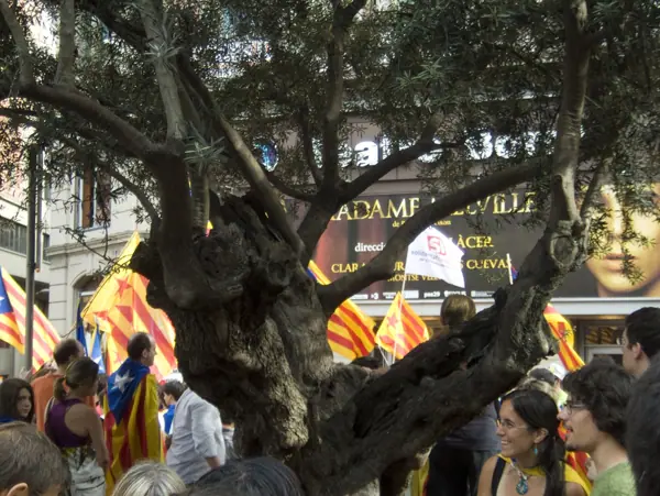 Manifestació per la independència de Catalunya (Barcelona) · 05746