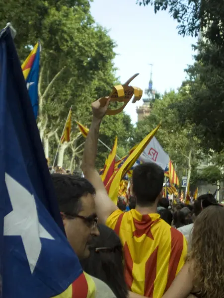 Manifestació per la independència de Catalunya (Barcelona) · 05758