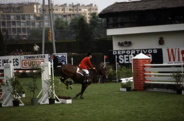 Concurs hípic, 1978 (Barcelona) · 05809