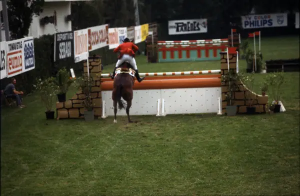 Concurs hípic, 1978 (Barcelona) · 05812