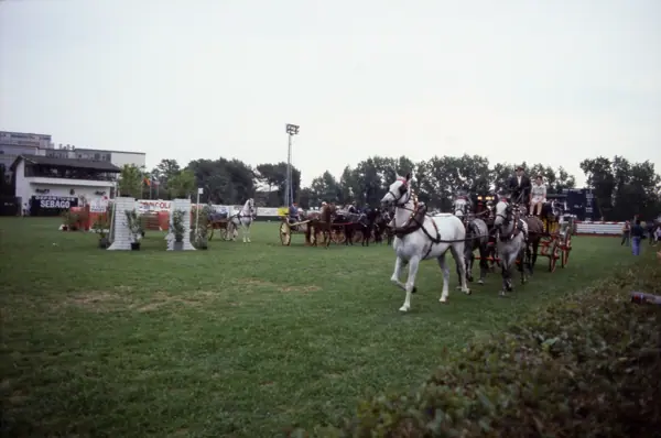 Concurs hípic, 1978 (Barcelona) · 05813
