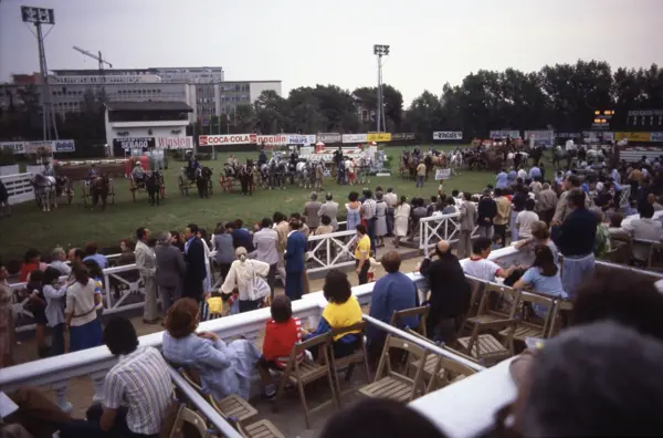 Concurs hípic, 1978 (Barcelona) · 05818