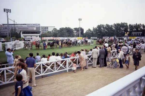 Concurs hípic, 1978 (Barcelona) · 05819