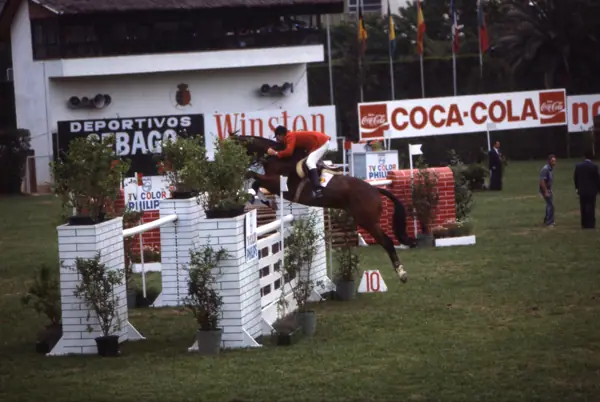 Concurs hípic, 1978 (Barcelona) · 05823