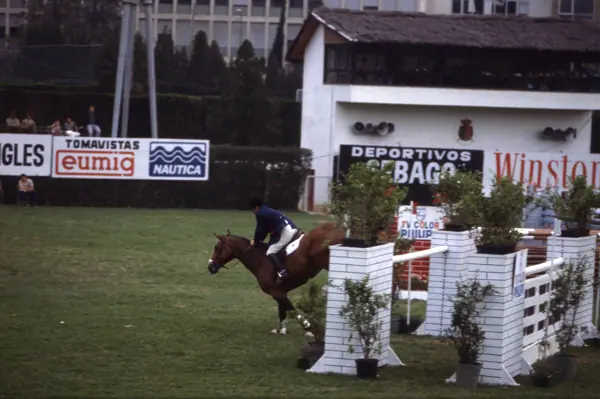 Concurs hípic, 1978 (Barcelona) · 05826