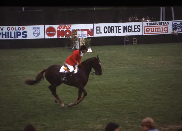 Concurs hípic, 1978 (Barcelona) · 05824