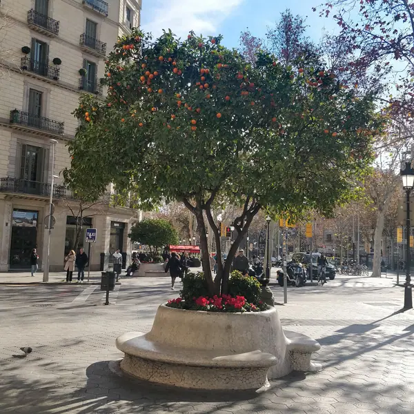 Passeig de Gràcia (Barcelona) · 07458
