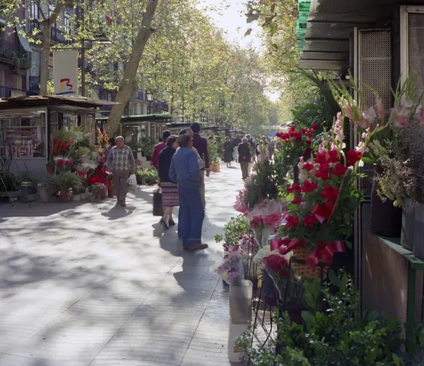 La Rambla (detalls) (Barcelona) · 1235ramblesbcn