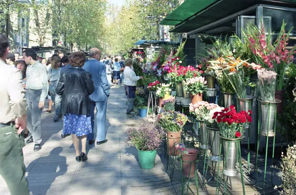 La Rambla (detalls) (Barcelona) · 1241ramblesbcn