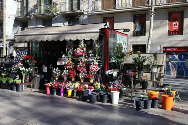 La Rambla (detalls) (Barcelona) · 05865