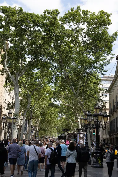La Rambla (detalls) (Barcelona) · 07348