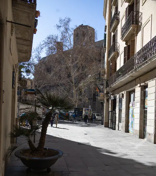 Església de Santa Maria del Pi (Barcelona) · 07205