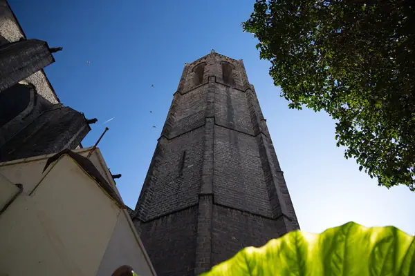 Església de Santa Maria del Pi (Barcelona) · 07224