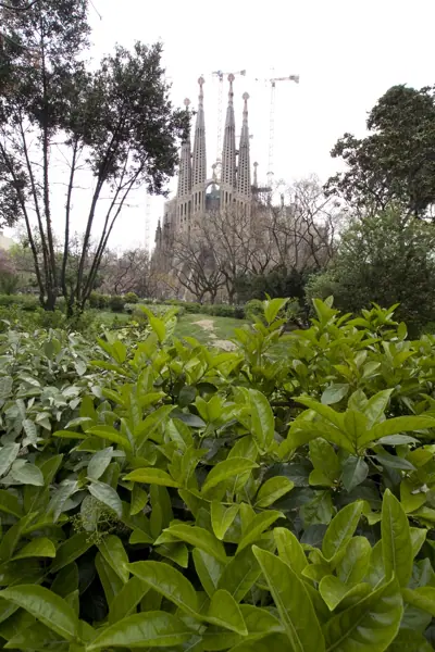 La Sagrada Família (Antoni Gaudí) (Barcelona) · 01043