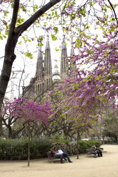 La Sagrada Família (Antoni Gaudí) (Barcelona) · 01044