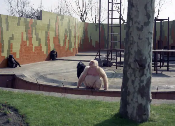 Zoo, «Floquet de Neu» (Barcelona) · 05839